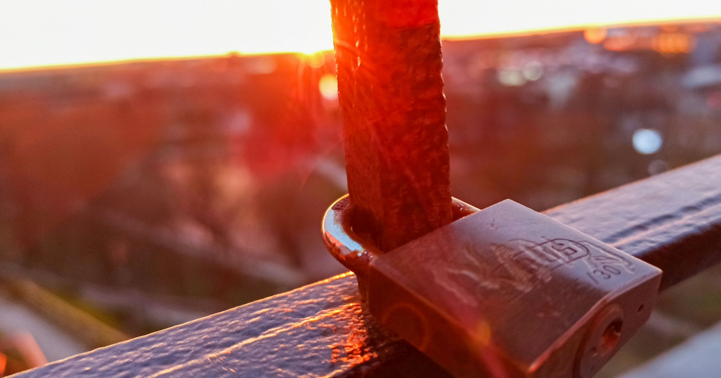 Common Contract Clauses - Warranties and Indemnity