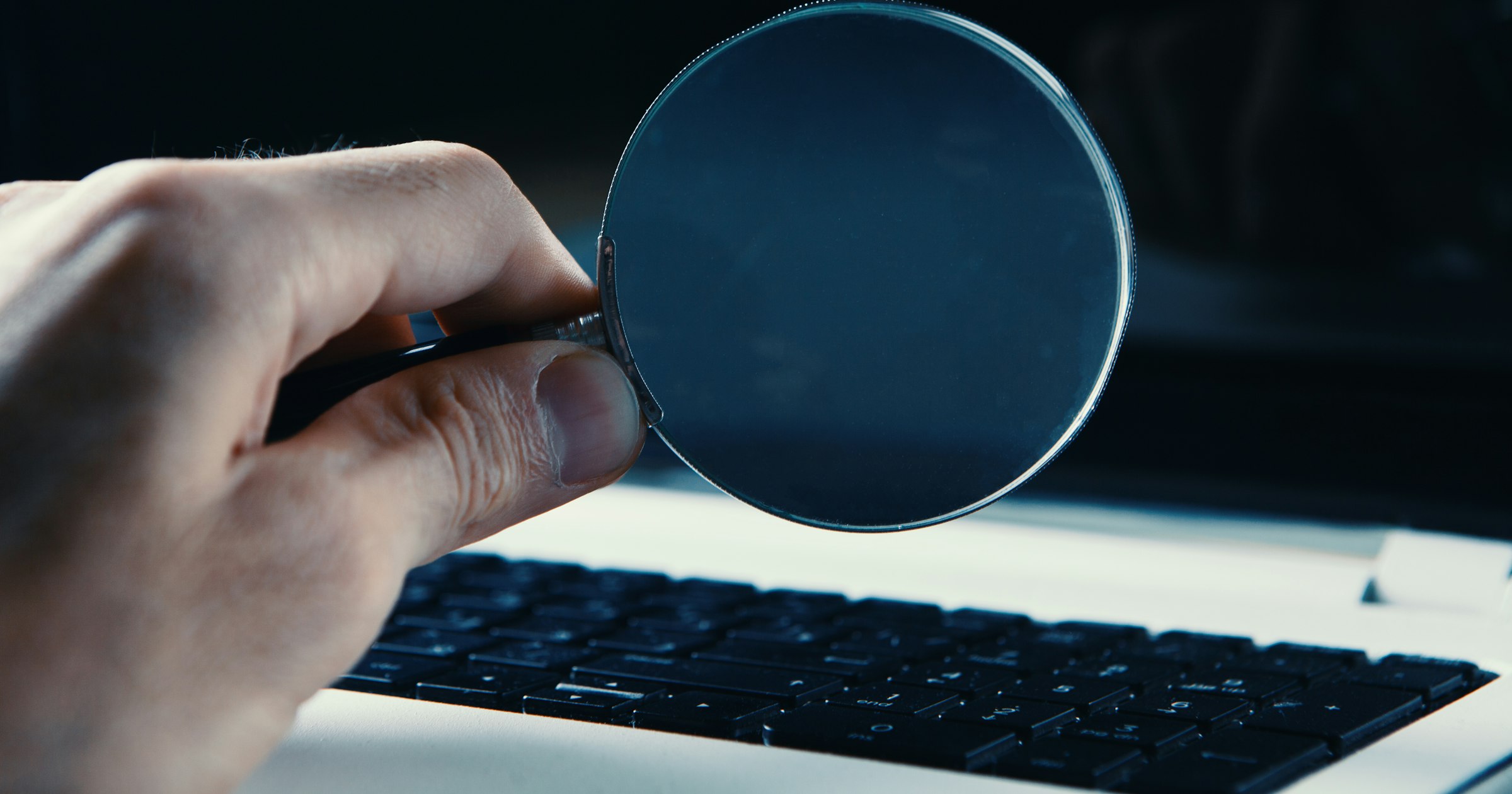 How to get your domain name back