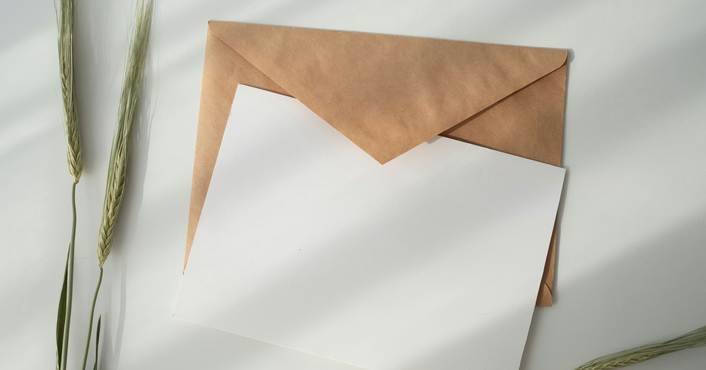 Sample DMCA takedown letter and advice for when someone steals your content